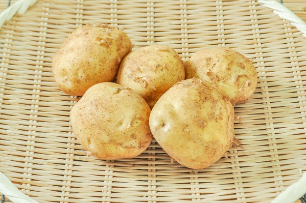 新じゃがいも（2L）1kg