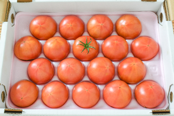 ももりこトマト（フルーツトマト）箱1kg18玉入