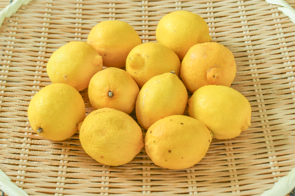 レモン（S）1kg