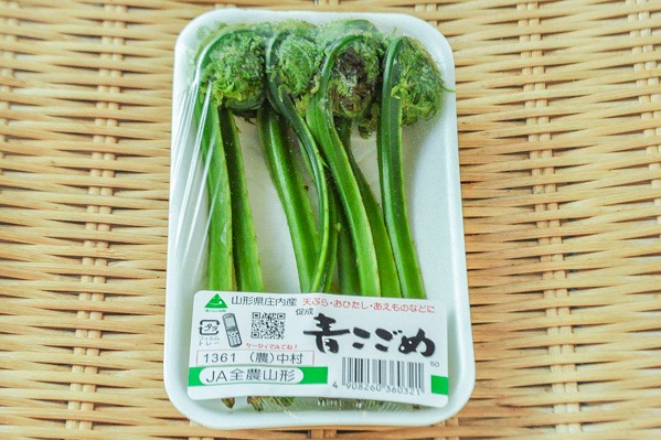 こごみ