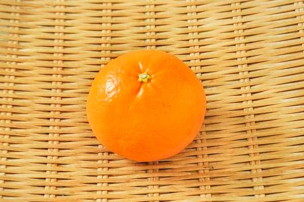 にじゅうまる（4L）（優）