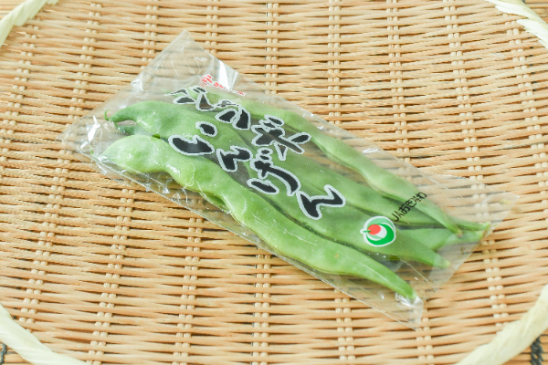 モロッコいんげん（丸）