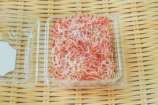 マジックレッド